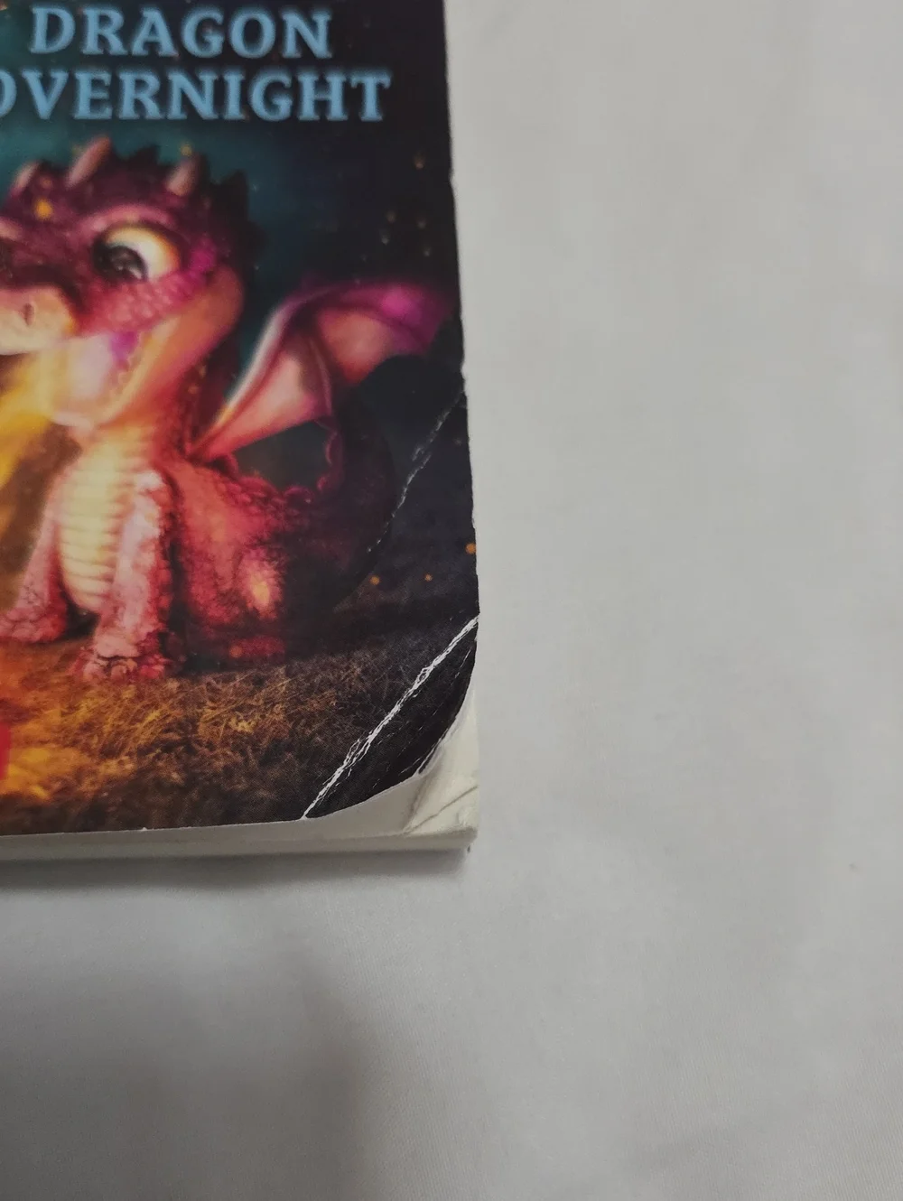 💛6 For $8💛 Upside Down Magic: Dragon Overnight Book 4
